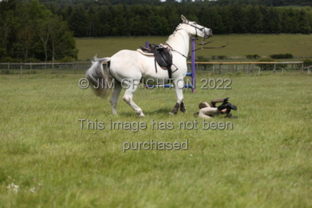 JC1_2136-1