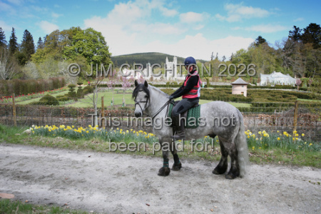 JC1_0172a
