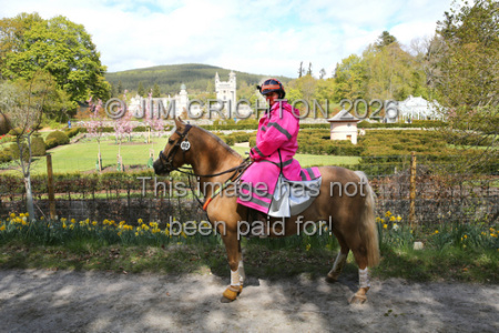 JC1_0243a
