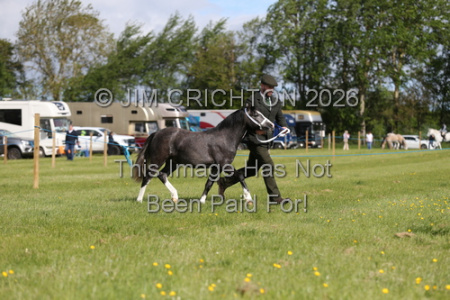 JC1_0034