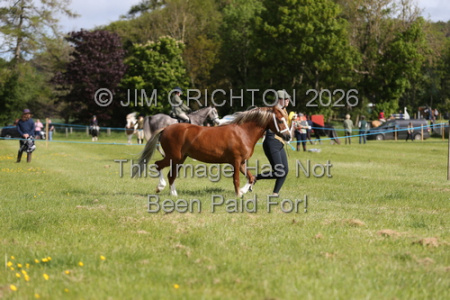JC1_0046