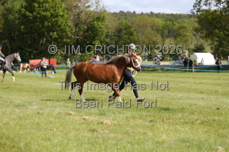 JC1_0049