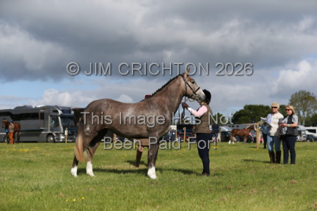 JC1_0053