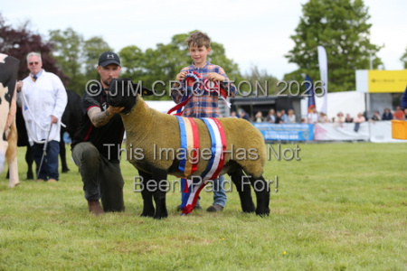 JC1_0347