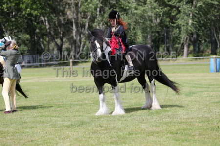 JC1_2324