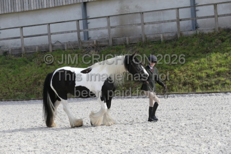 JC1_3884