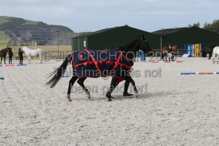 JC1_3896