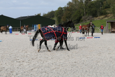 JC1_3899