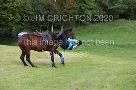 JC1_0496