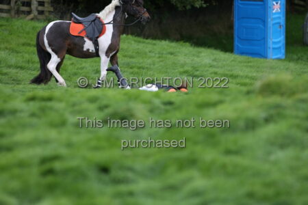 JC2_7696