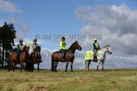JC1_4166